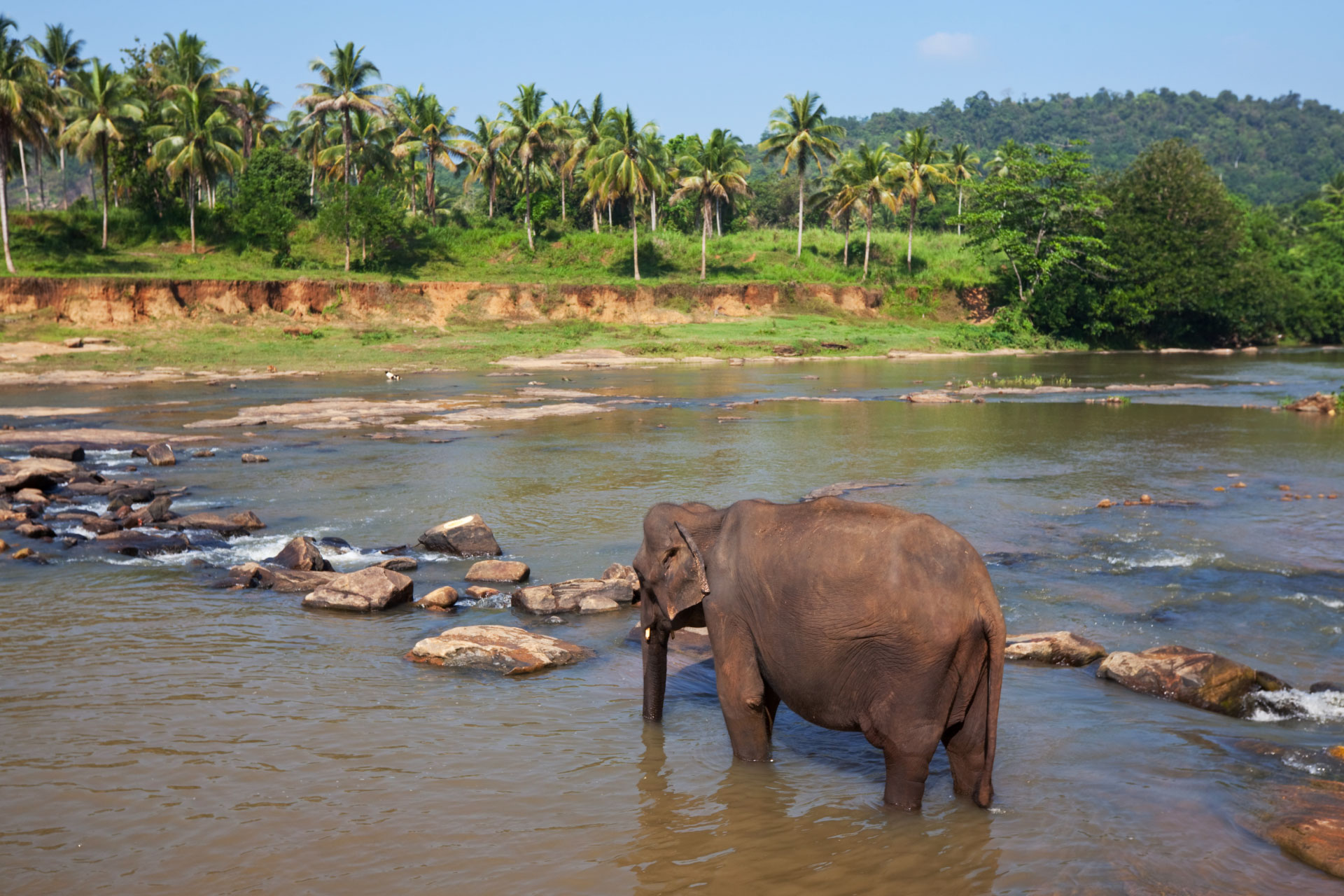 7 reasons Sri Lanka